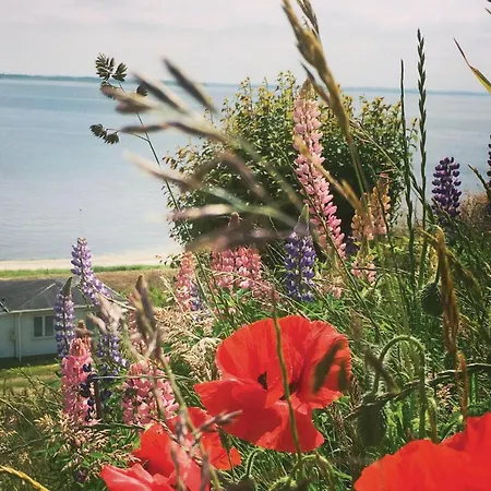 In Roslev With House Sea View Oster Lyby